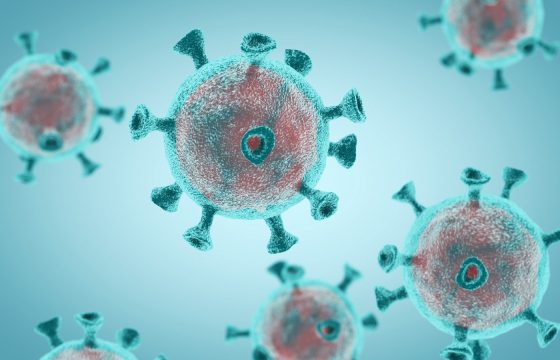 Don’t Just Avoid the Virus — Defeat It by Strengthening Your Immunity