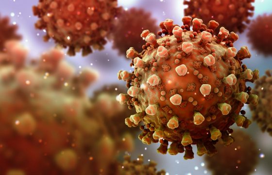This Is How Your Immune System Reacts to Coronavirus