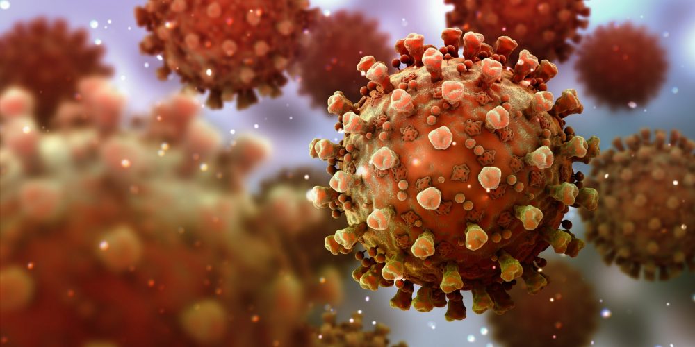 This Is How Your Immune System Reacts to Coronavirus