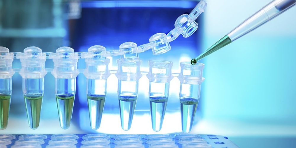 In view of the challenges faced by the outbreak of COVID-19