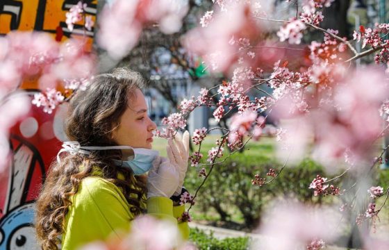 Lost Sense of Smell May Be Peculiar Clue to Coronavirus Infection