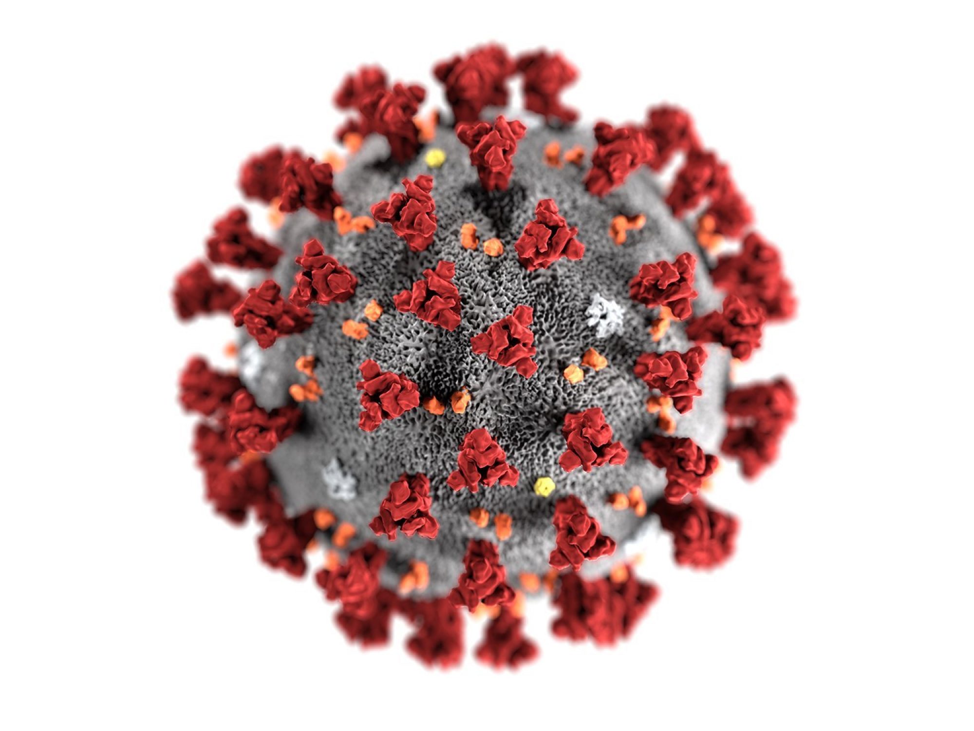 Where It Started COVID-19 (Coronavirus)